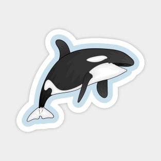 Killer whale cartoon illustration Magnet