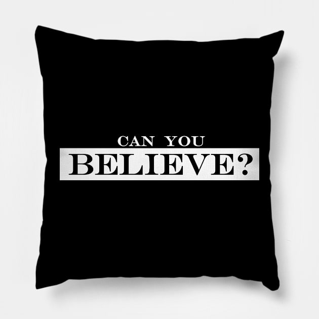 can you believe Pillow by NotComplainingJustAsking