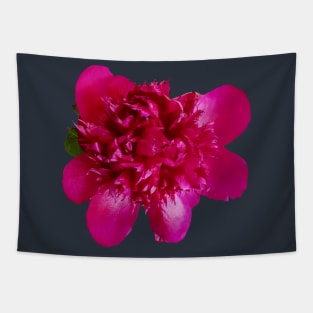 Red Peony Floral Photo Cutout Tapestry