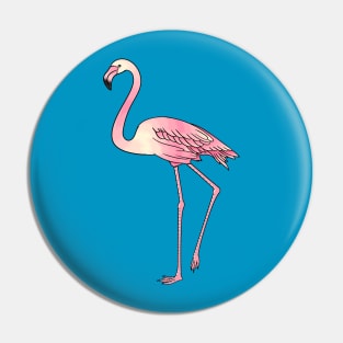 Flamingo bird cartoon illustration Pin