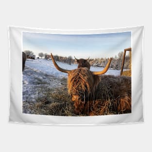 Scottish Highland Cattle Cows 2225 Tapestry