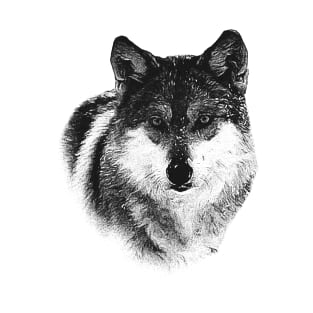 Wolf portrait T-Shirt