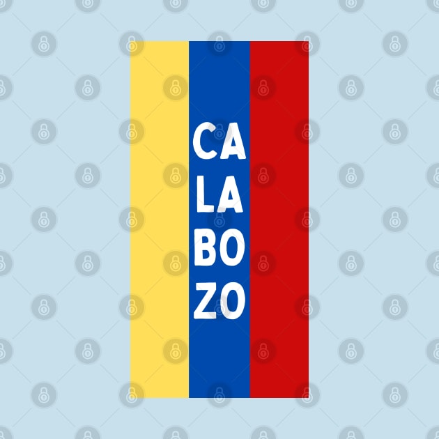 Calabozo City in Venezuelan Flag Colors Vertical by aybe7elf