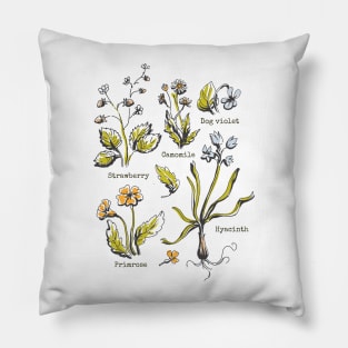 Cottagecore Pillow