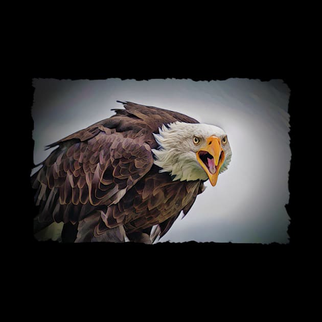 Bald Eagle Design by PhotoArts