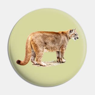 Full bodied Cougar Pin