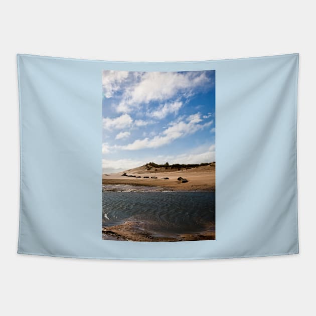 The Sand Dunes at Alnmouth Tapestry by Violaman