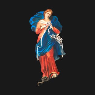 Mary Undoer of Knots (transparent background design) T-Shirt