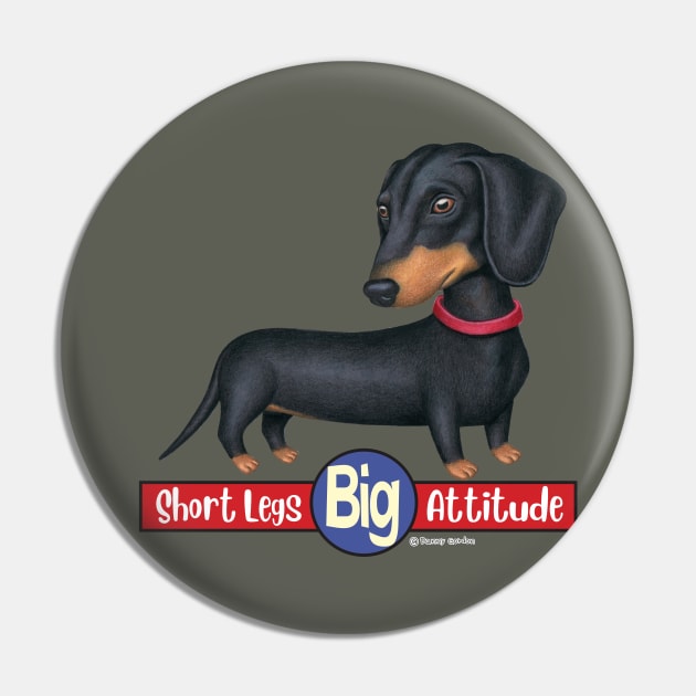 Cute Doxie Dachshund with short legs big attitude Pin by Danny Gordon Art