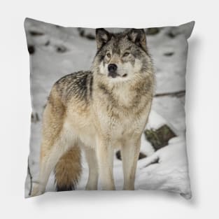 Timber Wolf Pillow