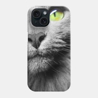 Amazing picture of gray cat with green eyes Phone Case