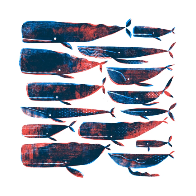 Printed whales by Gareth Lucas