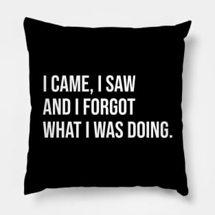 I came I saw and I forgot what I was doing Pillow