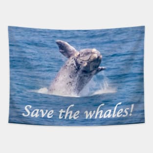 Save the whales Tapestry