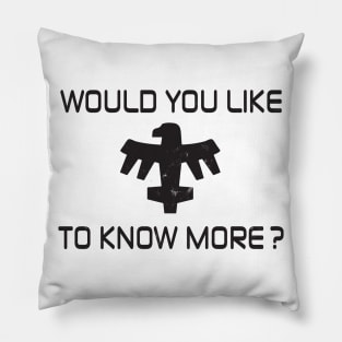 Would You Like To Know More? Pillow
