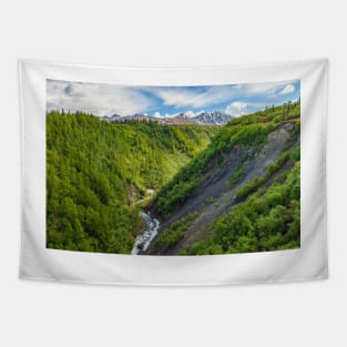 Deep Ravine Tapestry