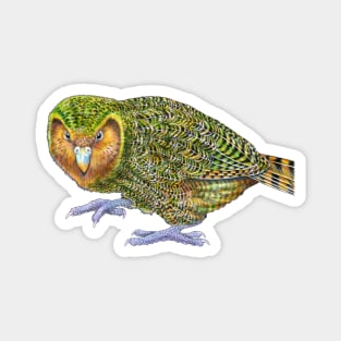 Kakapo Magnet