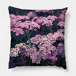 Rose red yarrows Pillow