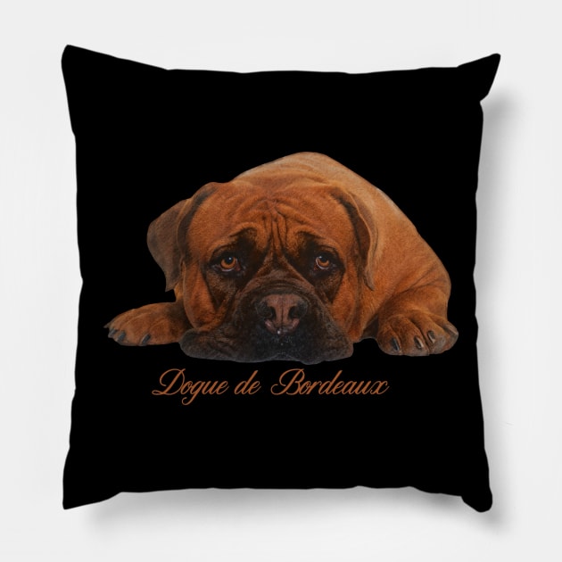 Dogue de Bordeaux Pillow by Nartissima