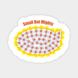 1 - H - Hydrogen: Small But Mighty Magnet