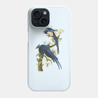 Blue Jay Bird Vintage Wildlife Illustration Phone Case