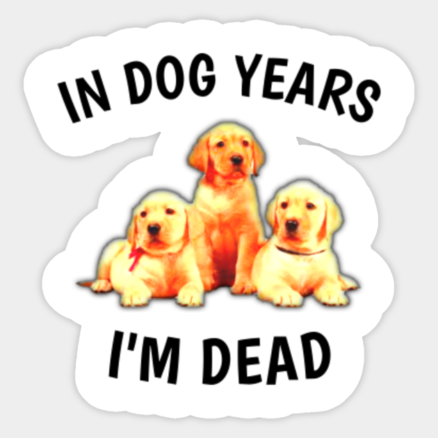 funny dead dog