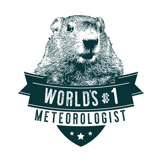 Groundhog Worlds #1 Meteorologist by Xeire