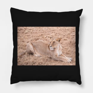 Serengeti Lion #9 Pillow