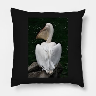 Great White Pelican Pillow