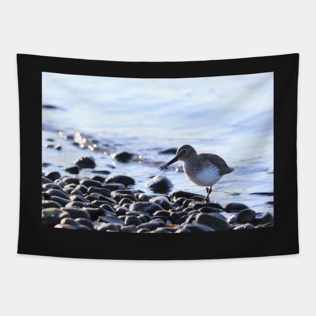 Shorebird Tapestry by SandiLin