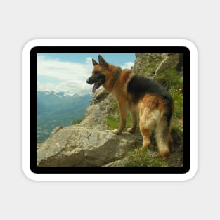 German-Shepherd-Dog Magnet