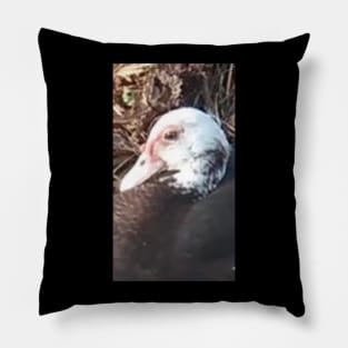 Mama Duck Pillow