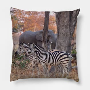 Zebras and Elephants together in Moremi Game Reserve, Botswana, Africa Pillow