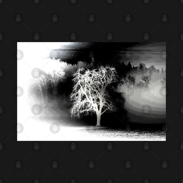 Tree negative art / Swiss Artwork Photography by RaphaelWolf