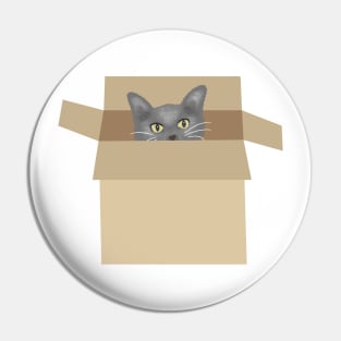 Cat in the box Pin