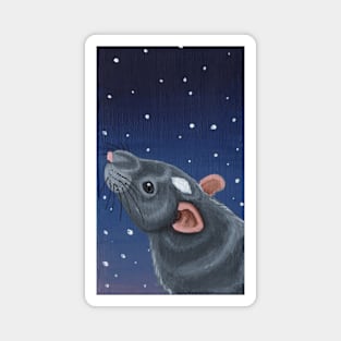 Grey Essex Rat Stargazing Magnet