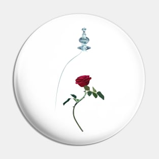 beauty and the beast rose Pin