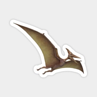 pterodactyl dinosaur pre historic reptile Magnet