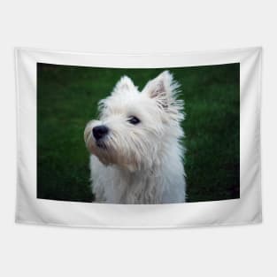 Westie Tapestry