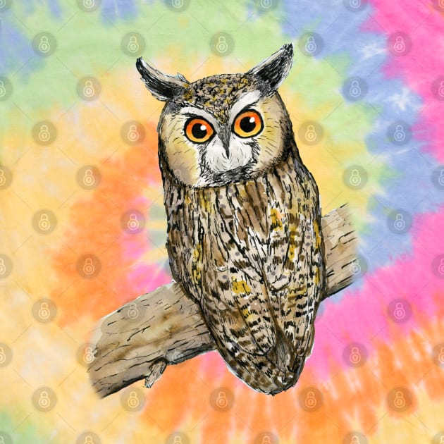 A colored pen drawing of a long-eared owl by Bwiselizzy