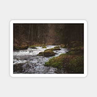 River, woods, nature Magnet