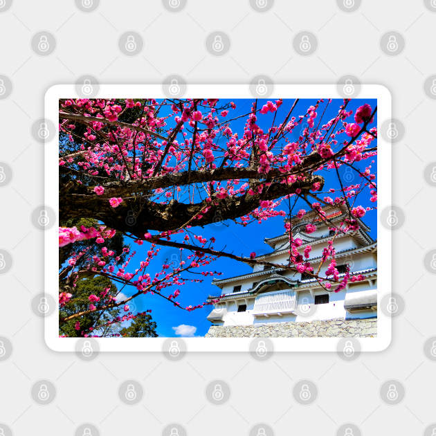 Photography - Spring in Japan Magnet by Karoのkyuuto