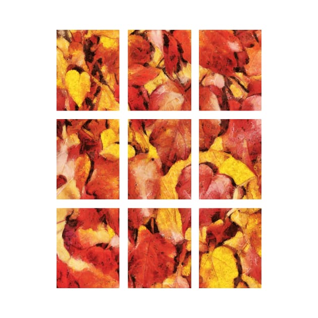 Fall Leaves in Warm Shades of Red, Orange and Yellow Colors by scotch