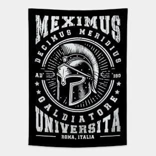 Maximus University /\/ Gladiator Training Tapestry