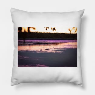 Ducks at dusk in a marsh Pillow