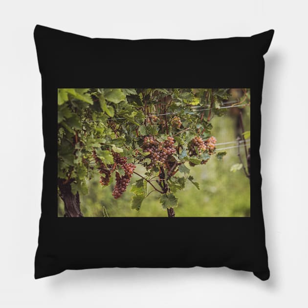 White wine in the vineyard Pillow by M-Hutterer