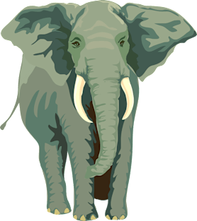 african elephant Magnet