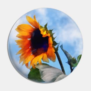 Sunflower Against the Sky Pin