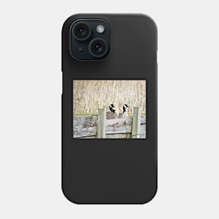 Canada Geese Pair No.5 Phone Case