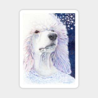 Dreamdog - white standard poodle Magnet